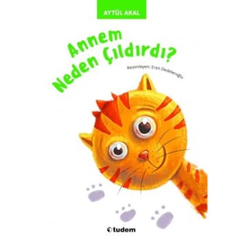 Annem Neden Çıldırdı? - Aytül Akal