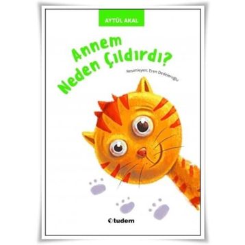 Annem Neden Çıldırdı? - Aytül Akal