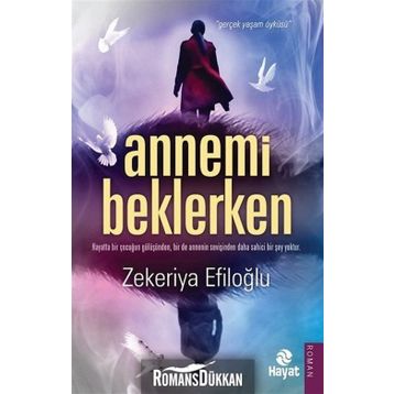 Annemi Beklerken - Zekeriya Efiloğlu
