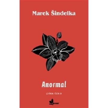 Anormal - Marek Sindelka