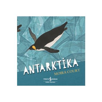 Antarktika-Moira Court