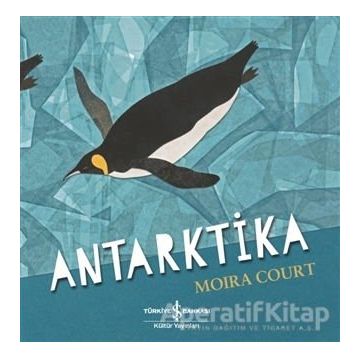 Antarktika-Moira Court