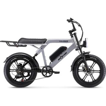 Ape Ryder Colobus Premium 750 W Elektrikli Bisiklet