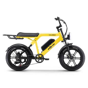 Ape Ryder Colobus Premium 750 W Sarı Elektrikli Bisiklet