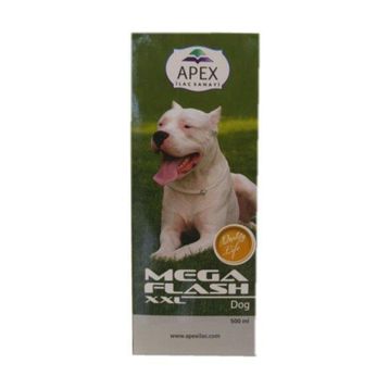 Apex Mega Flash Dog 500 cc Kas Kemik Geliştirici