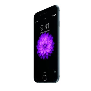 Apple iPhone 6 64 GB Uzay Grisi