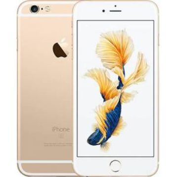 Apple iPhone 6S Plus 16 GB Altın Outlet-Teşhir