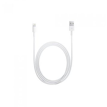 Apple Lightning MD819ZM/A USB Şarj Kablosu