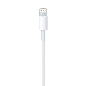 Apple Lightning MD819ZM/A USB Şarj Kablosu