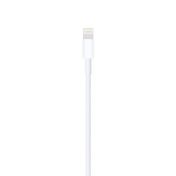 Apple Lightning To Usb Cable 0.5 m Kablo