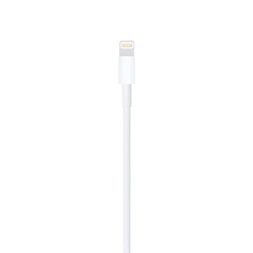 Apple Lightning To Usb Cable 0.5 m Kablo