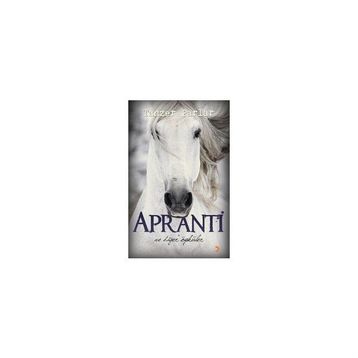 APRANTI VE DİĞER ÖYKÜLER - TANZER PARLAR