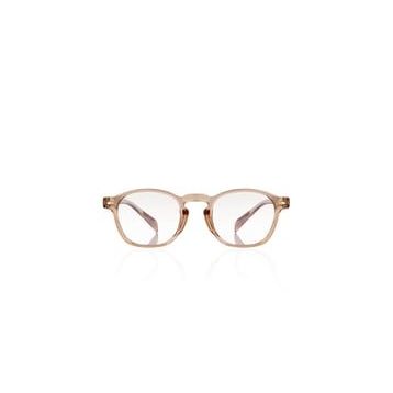 Aqua di Polo 1987 APSO001103 Kahverengi Unisex Ekran Gözlüğü