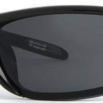 Aqua Di Polo 1987 APSS028500 Basic Siyah Erkek Güneş Gözlüğü
