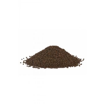 Aqua Magic Dip 2 mm 1 kg Balık Yemi