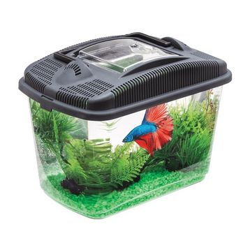 Aquael Betta Kit Akvaryum