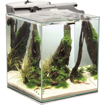 Aquael Shrimp Set Day and Night 30 Siyah 30 lt Karides Akvaryumu