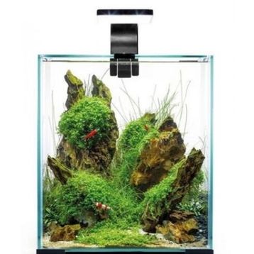 Aquael Shrimp Set Day and Night 30 Siyah 30 lt Karides Akvaryumu