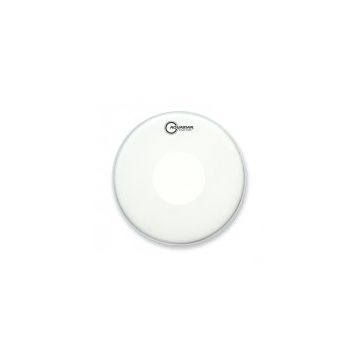 Aquarian Tex Coated Power Dot TCPD10 10 inç Tom Derisi