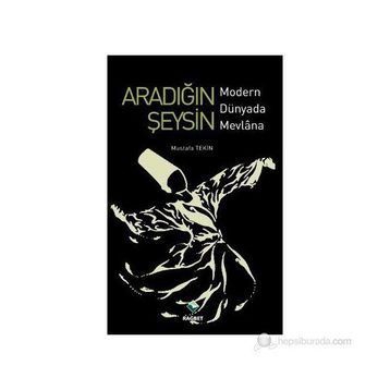 ARADIĞIN ŞEYSİN MODERN DÜNYADA MEVLANA - MUSTAFA TEKIN