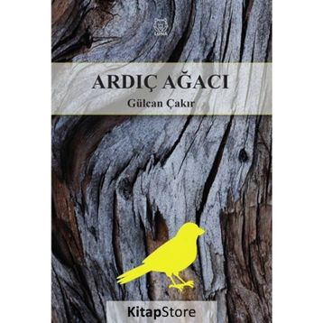 Ardıç Ağacı - Gülcan Çakır