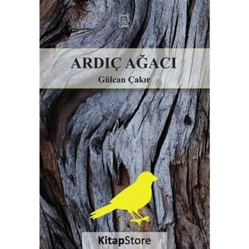 Ardıç Ağacı - Gülcan Çakır