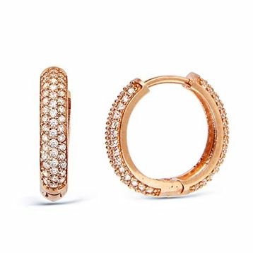 Argentum Concept K035901 925 Ayar Zirkon Taşlı Rose Halka Kadın Gümüş Küpe