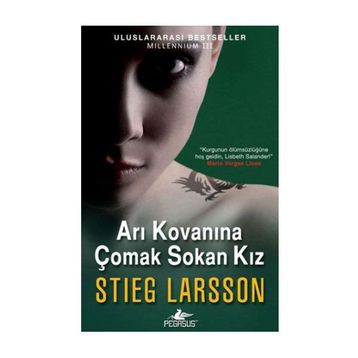 Arı Kovanına Çomak Sokan Kız - Stieg Larsson