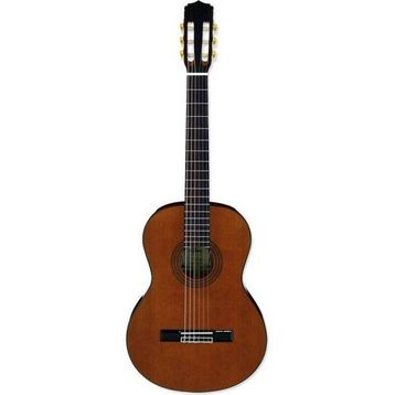 Aria A20N Klasik Gitar
