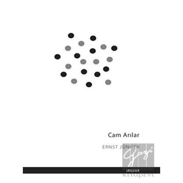 ARILAR - NURSEN ŞIRIN