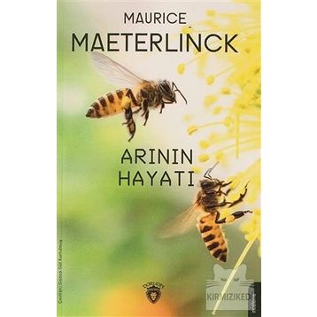 Arının Hayatı - Dorlion Yayınevi