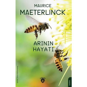 Arının Hayatı - Dorlion Yayınevi
