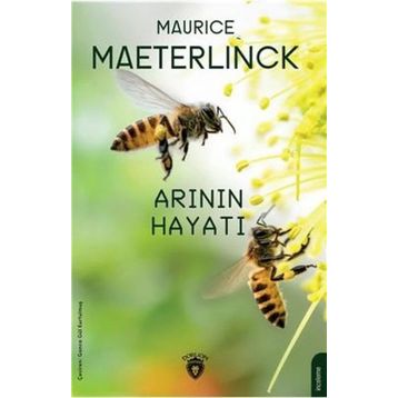 Arının Hayatı - Dorlion Yayınevi