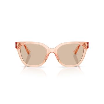 Armani Exchange AX 4164SU 839593 53 Kadın Güneş Gözlüğü