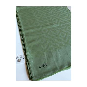 Armine 1-4875 Açık Yeşil Şal
