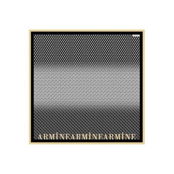 Armine 8661D 13 Twill İpek Eşarp