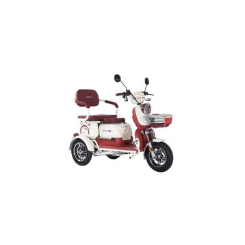 Arora Rüzgar New 650W 3 Tekerlekli Bordo Elektrikli Motosiklet