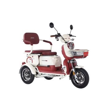 Arora Rüzgar New 650W 3 Tekerlekli Bordo Elektrikli Motosiklet
