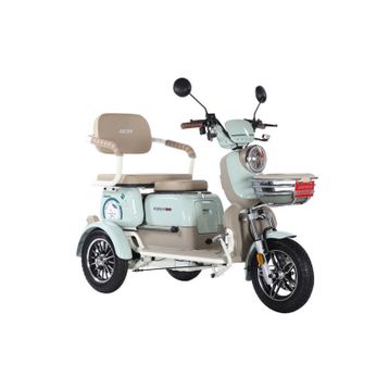 Arora Rüzgar New 650W 3 Tekerlekli Yeşil Elektrikli Motosiklet
