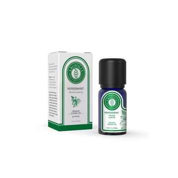 Arotolia 10 ml Nane Uçucu Yağı