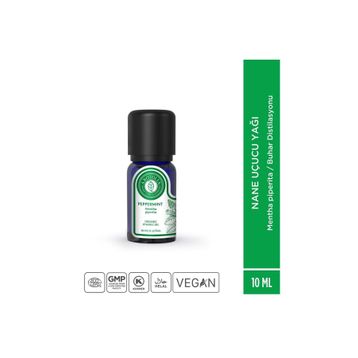 Arotolia 10 ml Nane Uçucu Yağı