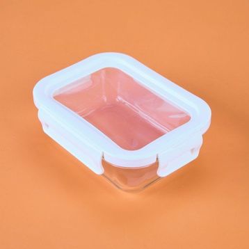 Arow Freeze 650 ml Cam Saklama Kabı