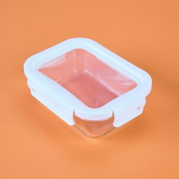 Arow Freeze 650 ml Cam Saklama Kabı