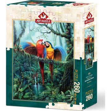 Art Puzzle Ormandaki Aşk 260 Parça Puzzle