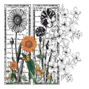 Artebella 5834V Home Design Kolay Transfer