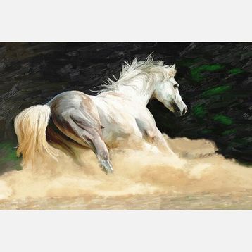 Artist AN-005 60x90 cm Kanvas Tablo