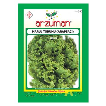 Arzuman 10 gr Arapsaçı Marul Tohumu