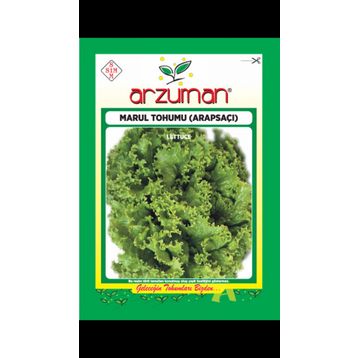 Arzuman 10 gr Arapsaçı Marul Tohumu