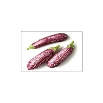 Arzuman 10 Gr Çizgili Patlıcan TohumuAlaca Patlıcan