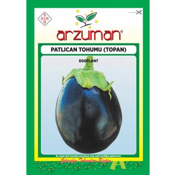 Arzuman 10 Gr Çizgili Patlıcan TohumuAlaca Patlıcan